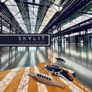 欧美穿环穿孔HD
